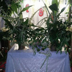 Ika Apriliya profile icon