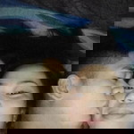 Rose Ann Evangelista Pascua profile icon