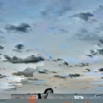 Moo Rim Acnalb profile icon