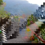 Rhol Carlos Caparas profile icon