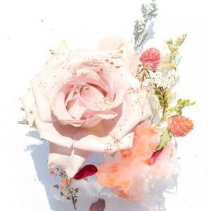 Setia Ningsih profile icon