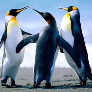 Munasyarotun dhira profile icon