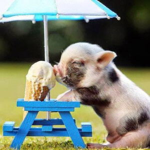 louvelle 2014 profile icon