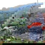 Vitha Sharie profile icon