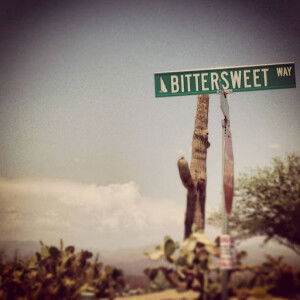 Firda Amalia profile icon