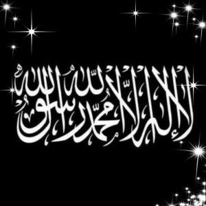 Elvina Rhava profile icon