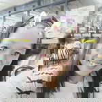 Jha Nhice profile icon