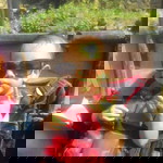 Tya aeshan profile icon