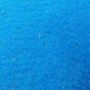 peni baharuddin profile icon