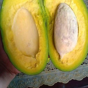 Nguyễn Hà profile icon