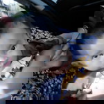 Andienestbelle 87 profile icon