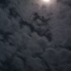 Truong Ngoc profile icon