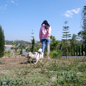 แมวเหมียว รักแม่ คนเดิม profile icon