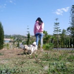 แมวเหมียว รักแม่ คนเดิม profile icon