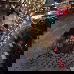 Rapeepon Šäõ profile icon