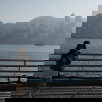 LittleBew profile icon