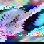 Sarayut Somboonkul profile icon