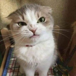 เปรี้ยว ปิ๊ดดดดดด profile icon