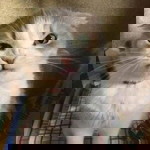 เปรี้ยว ปิ๊ดดดดดด profile icon