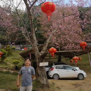 yuyajung9@hotmail.com yuyajung profile icon