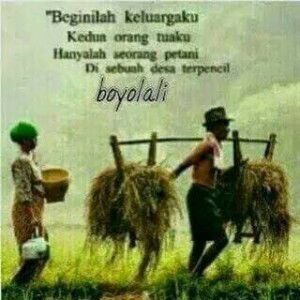 Muhamad Sodiq Angon Sapi profile icon