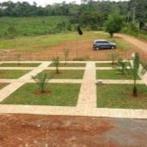 Hidayat AJA profile icon