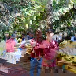 Oraya Pheimphukheiyw profile icon