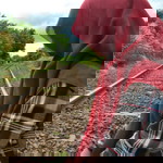 siti musitoh profile icon