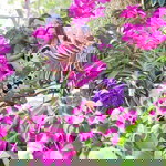 น้องมะลิ แม่ออม profile icon