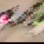 Neyah Dheana profile icon