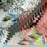 Nounna Icha Latoya profile icon