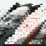 Lyka Gene Molenilla profile icon