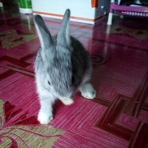 อรวรรณ แก้วบุญ profile icon