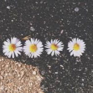 Siti Marlin Sukardi profile icon