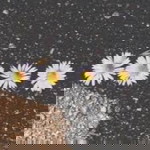 Siti Marlin Sukardi profile icon