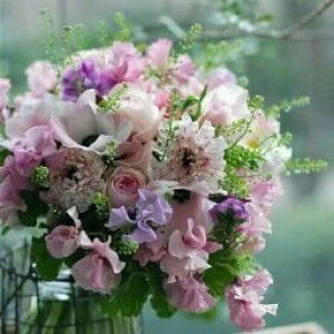 Saomi Kodriah profile icon