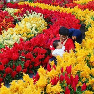 Shindy Rahayu profile icon