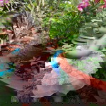 Nguyên Tâm profile icon