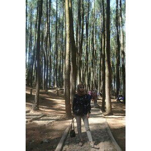 Anandyah Inge Armadenta profile icon