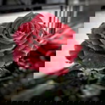 Ayumi Lindawitri profile icon