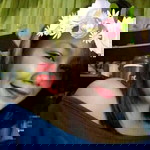 Jamie Marcelo profile icon