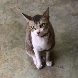 Jaja-didi 1414 profile icon