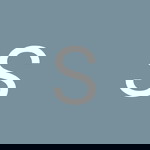 See Leng profile icon