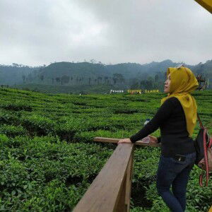 Yus Pita profile icon