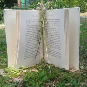 Anne Ragpala profile icon