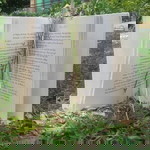 Anne Ragpala profile icon