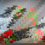 Siti NorAsyiqah profile icon