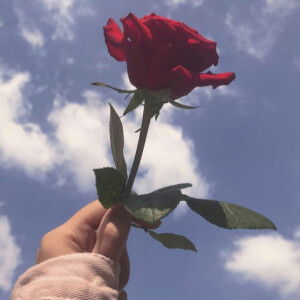 Khoirun Nisa profile icon