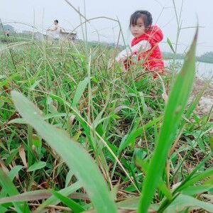 Thethe Maimai profile icon