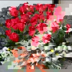 Tran ThiNhung profile icon